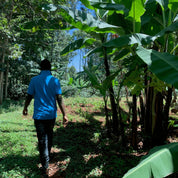 2 x Kenya - Kafferäven - Coffee Blends