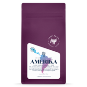 Amerika plus minus 20°