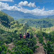 Landskaffe Costa Rica - Kafferäven - Coffee Blends