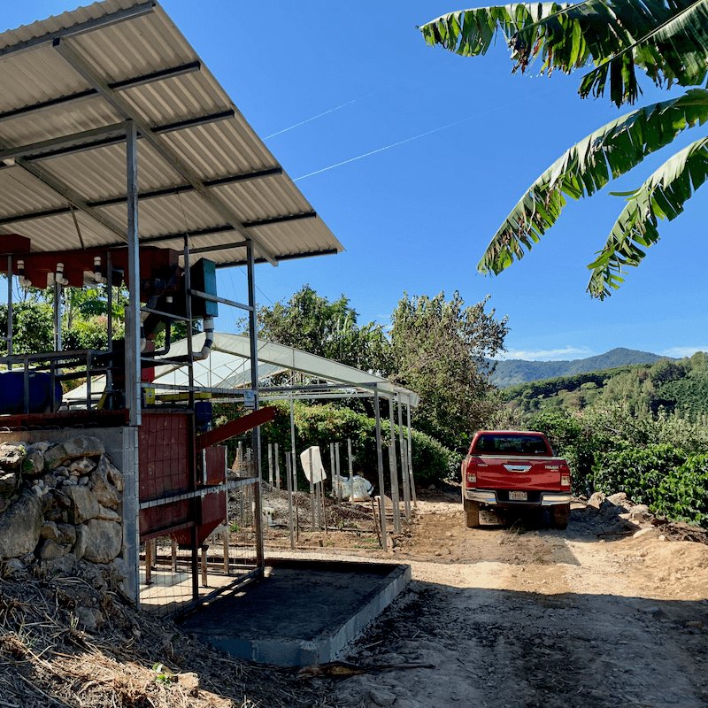 Landskaffe Costa Rica - Kafferäven - Coffee Blends