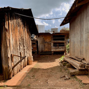 Landskaffe Kenya - Kafferäven - Coffee Blends