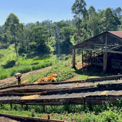 Landskaffe Kenya - Kafferäven - Coffee Blends