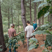 Landskaffe Nicaragua - Kafferäven - Coffee Blends