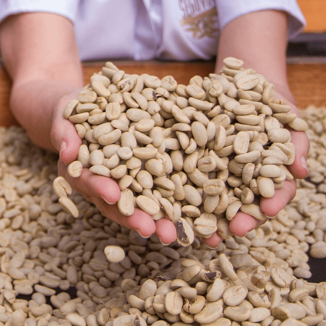 Landskaffe Nicaragua - Kafferäven - Coffee Blends