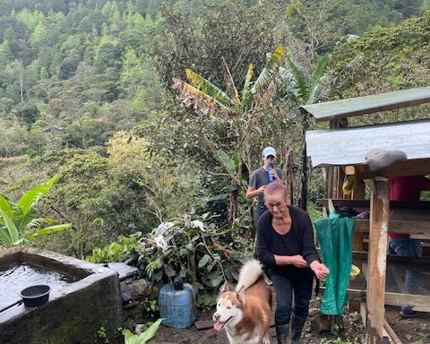 Julkaffe 2025 - La Huerta från Nicaragua - Kafferäven