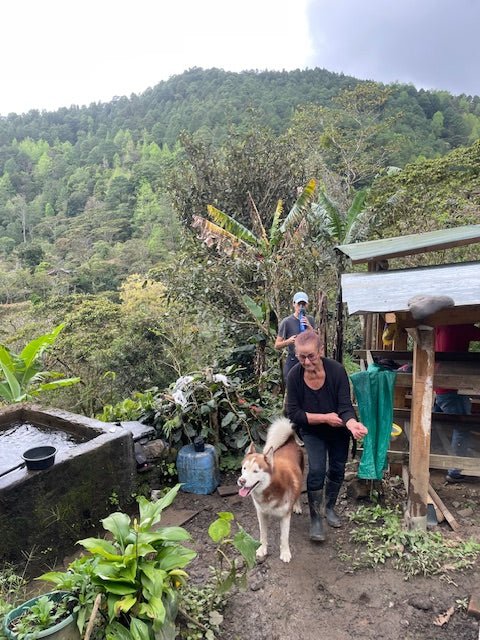 Julkaffe 2025 - La Huerta från Nicaragua - Kafferäven