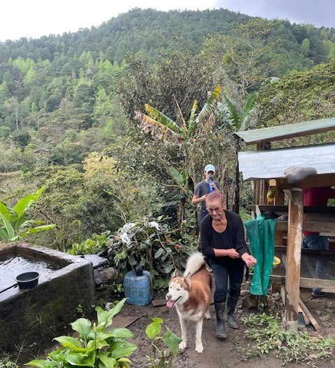 Julkaffe 2025 - La Huerta från Nicaragua - Kafferäven