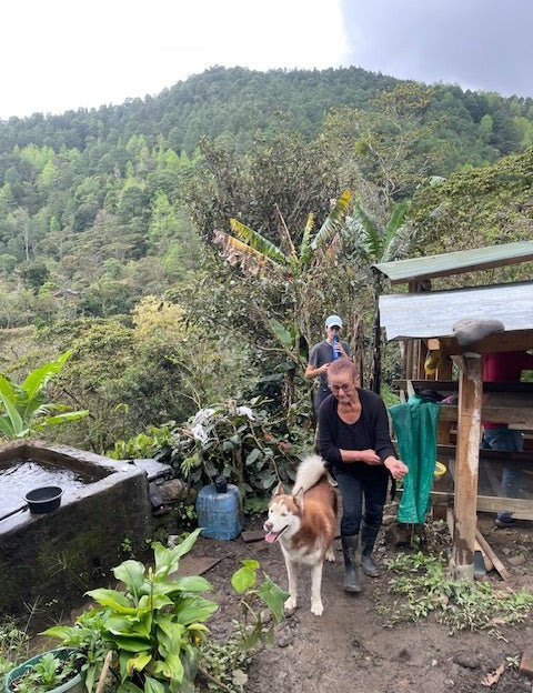 Julkaffe 2025 - La Huerta från Nicaragua - Kafferäven