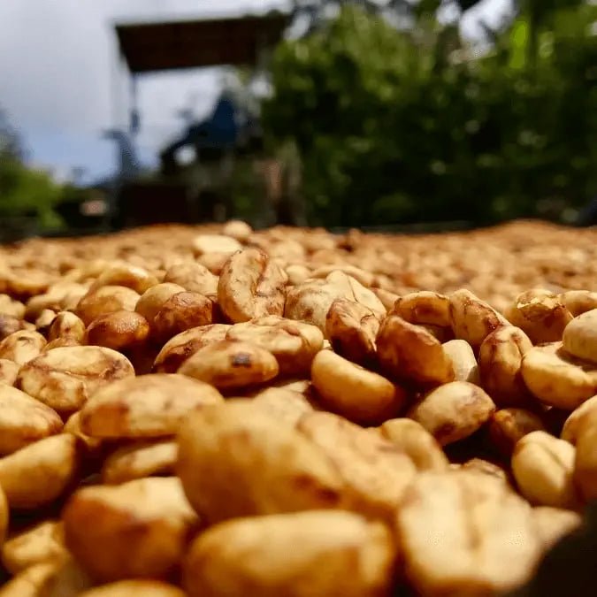 Kaffeprenumeration november - 2025 - Kafferäven