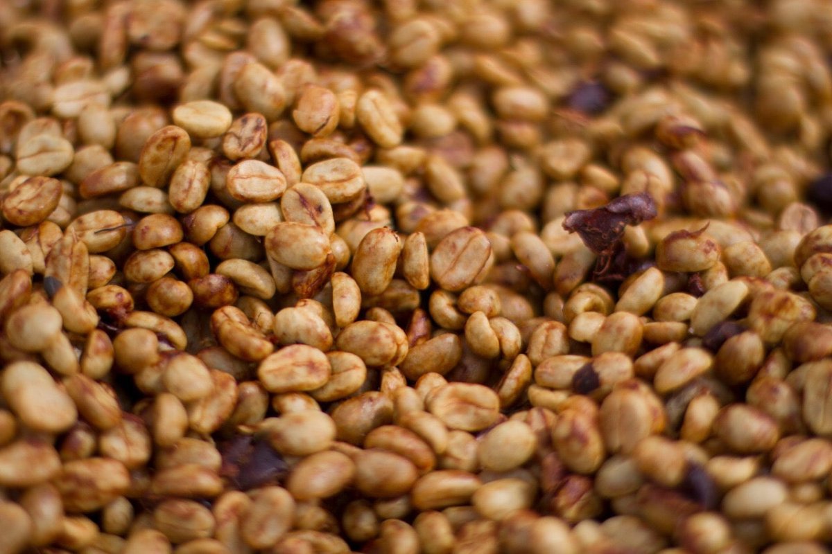 HONEY-PROCESS KAFFE - Kafferäven