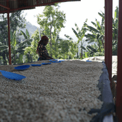 2 x 250g kaffe från Rwanda - Kafferäven - single origin coffee