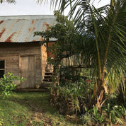 2xSenel Campos - kaffe från Costa Rica - Kafferäven - Single Origin Coffee