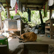 2xSenel Campos - kaffe från Costa Rica - Kafferäven - Single Origin Coffee