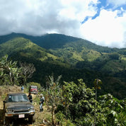 2xSenel Campos - kaffe från Costa Rica - Kafferäven - Single Origin Coffee