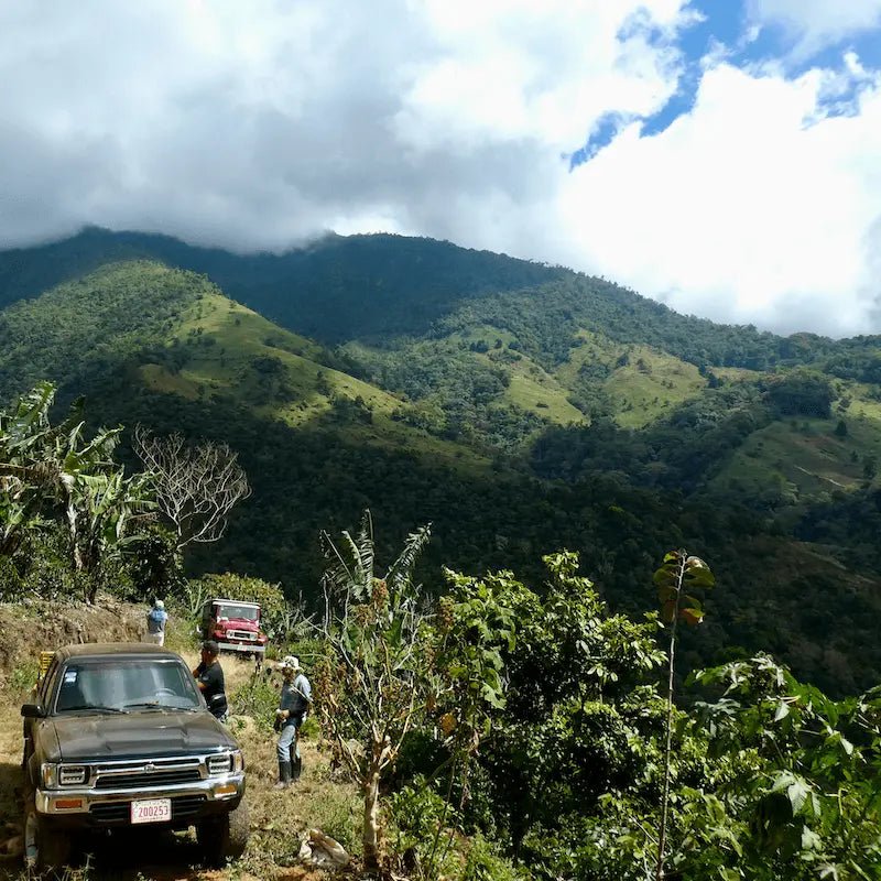 2xSenel Campos - kaffe från Costa Rica - Kafferäven - Single Origin Coffee