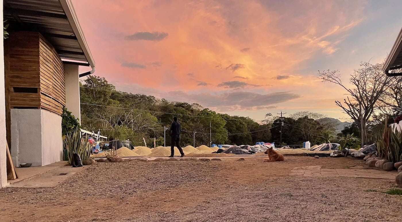Bridazul_i_solnedgang_2.webp