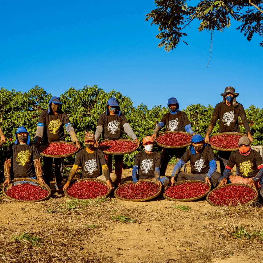 Capadócia - kaffe från Brasilien