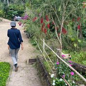 Guji Heirloom El Árbol  - kaffe från Nicaragua