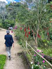 El Arbol Variety Bundle - kaffe från Nicaragua