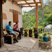 El Arbol Variety Bundle - kaffe från Nicaragua