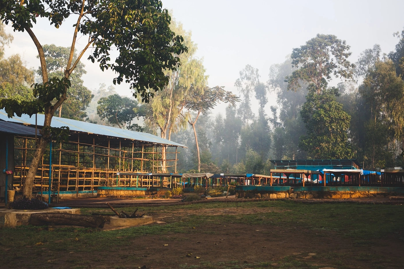 Yirgacheffe_Torkstation_i_soluppgang_kopia.webp