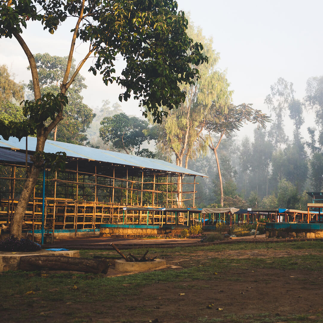 Yirgacheffe_soluppgang_torkstation_square.jpg