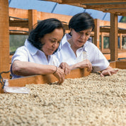 Bethania - kaffe från Nicaragua - Kafferäven - Single Origin Coffee