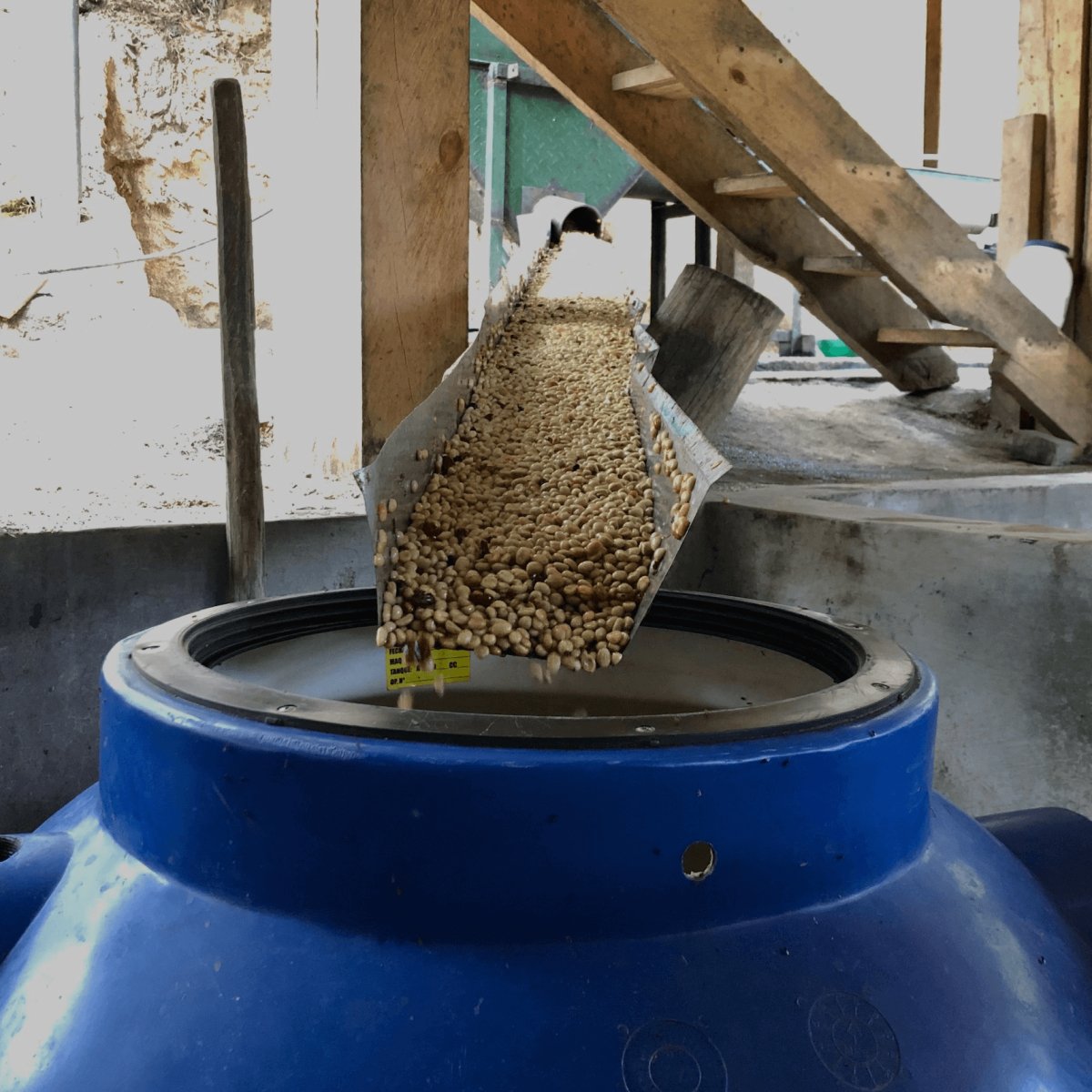 Bridazul - Kafferäven - Single Origin Coffee