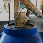 Bridazul - Kafferäven - Single Origin Coffee