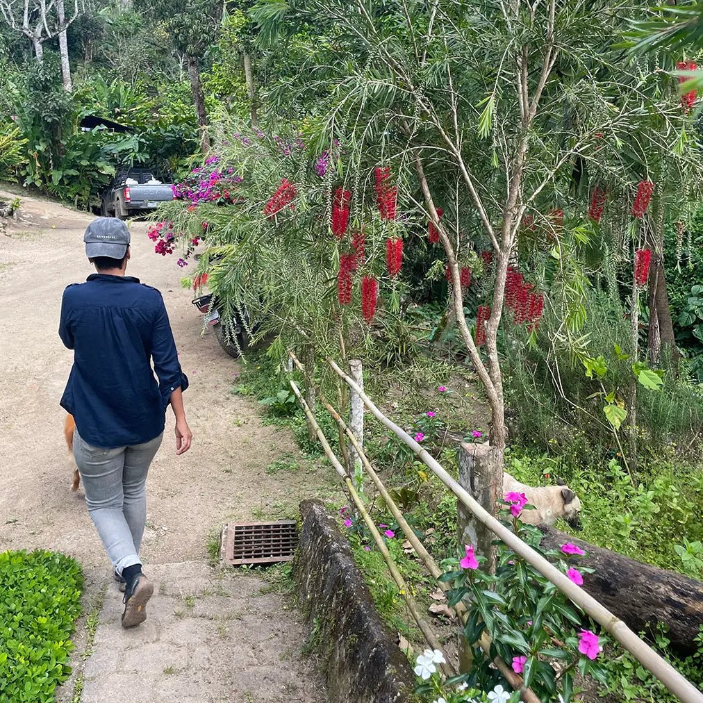 El Árbol - Geisha från Nicaragua - Kafferäven - Single Origin Coffee