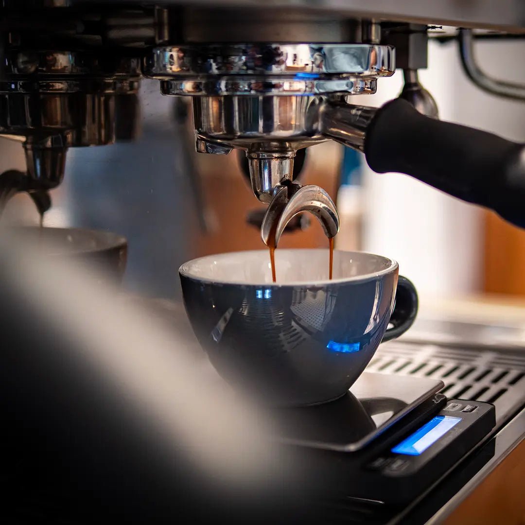 Photo of Espressoprenumeration