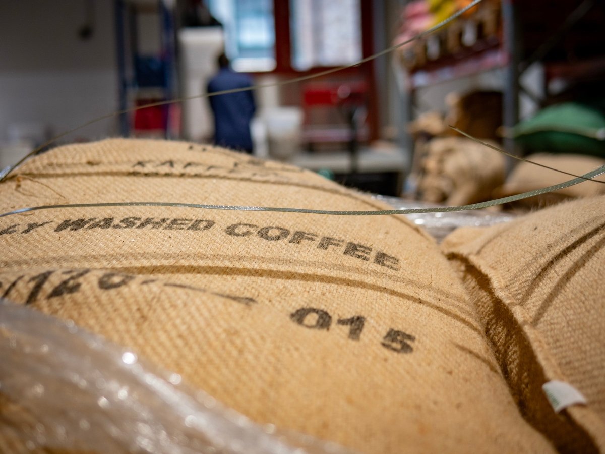 Kaffekurs med koppning - Kafferäven - Evenemang