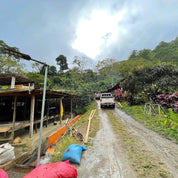 Kaffepaket Exclusive - Kafferäven - Single Origin Coffee