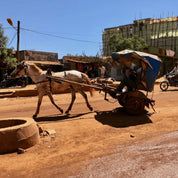 Landskaffe Etiopien - Kafferäven - Coffee Blends