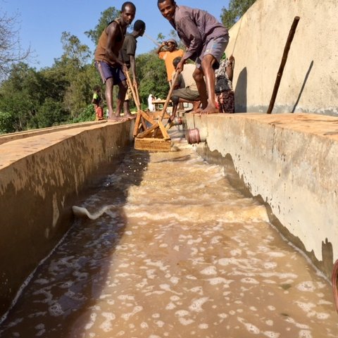 Landskaffe Etiopien - Kafferäven - Coffee Blends