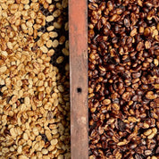 Las Margaritas - Geisha från Costa Rica - Kafferäven - Single Origin Coffee