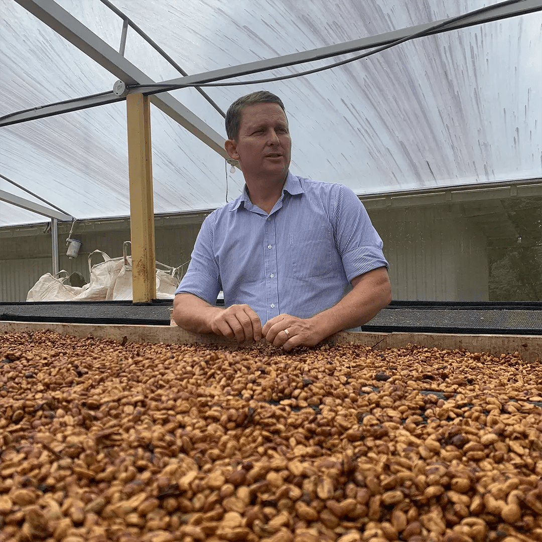 Las Margaritas - Geisha från Costa Rica - Kafferäven - Single Origin Coffee