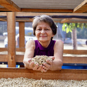 Natural Caturra - Gloria Rivas - kaffe från Nicaragua - Kafferäven - Single Origin Coffee