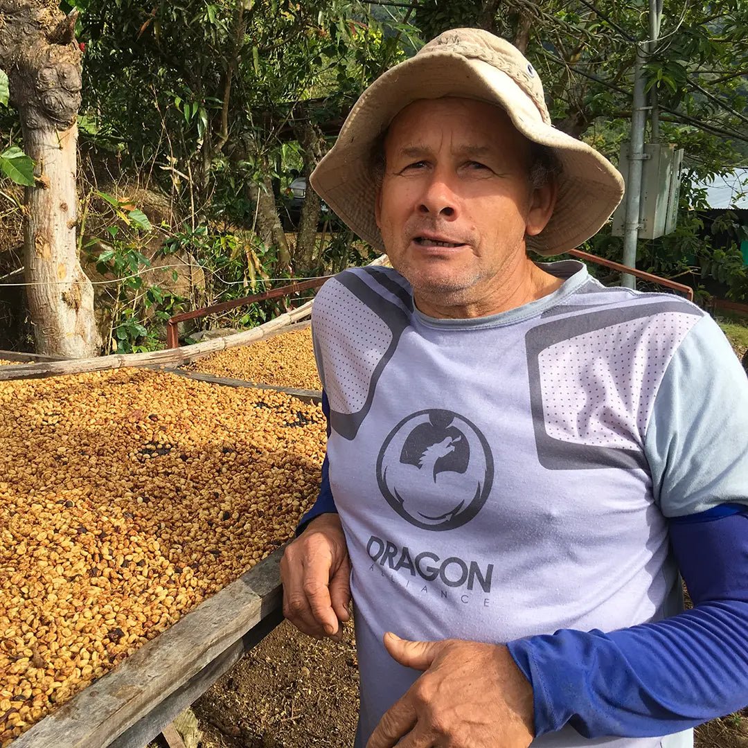 Senel Campos - Honey Catuai - Kafferäven - Single Origin Coffee