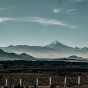 Sova Räv - koffeinfritt kaffe från Mexico - Kafferäven - single origin coffee