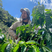 Vara Blanca - kaffe från Costa Rica - Kafferäven - Single Origin Coffee