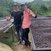 Yemerson - kaffe från Costa Rica - Kafferäven - Single Origin Coffee