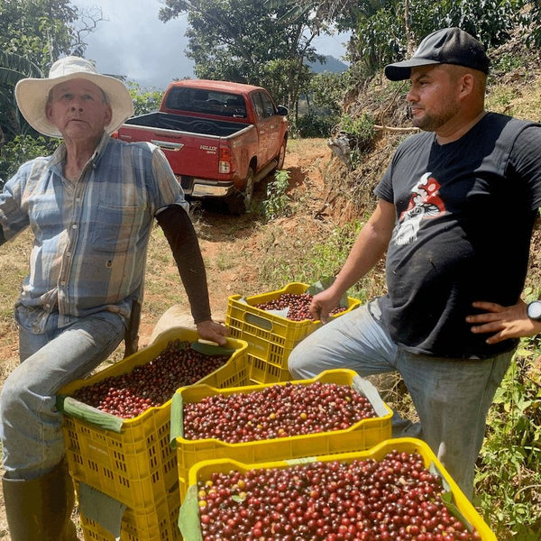 Kafferävens Löpande Kaffeprenumeration - kafferaven - Prenumeration och paket