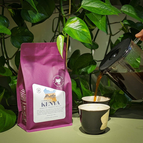 Landskaffe Kenya - Kafferäven - Coffee Blends